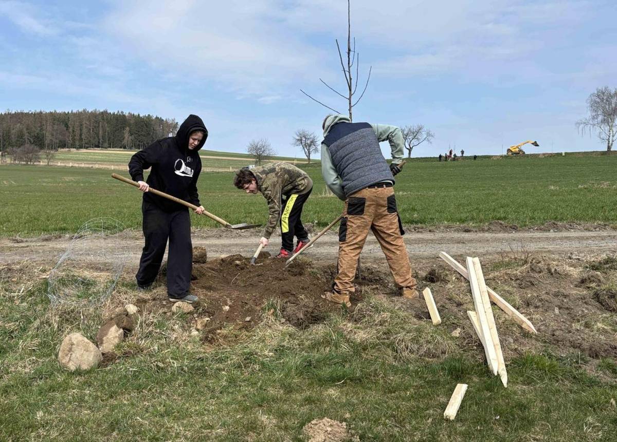 Mnoho místních i hostujících dobrovolníků se sešlo, aby podél cest vysadili ovocné a lipové stromky. Nové aleje nejen zpestří okolí obce a poskytnou úkryt drobné zvěři, ale také navazují na historickou tradici stromořadí v krajině a přispívají k upevnění vztahů mezi chmelenskými občany.