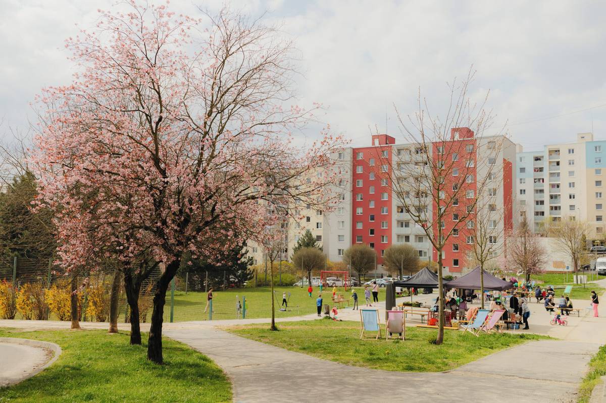 Projekt Živé susedstvá, ktorý pre vás pripravuje tím Trenčín 2026, už mnohí poznáte. V tomto roku pokračuje sériou jarných komunitných podujatí. Tie počas apríla a mája oživia rôzne mestské štvrte. A začne sa na Sihoti už túto sobotu 11. apríla. Prvým susedským podujatím budú Raňajky pod sakurami. Asi 120 metrov dlhý úsek Ulica Gen. Viesta sa premení [...]Čítať viac...