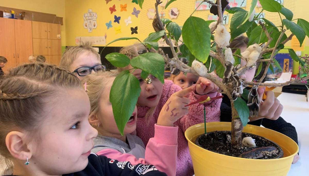 Zlín – Základní škola Zlín, Mikoláše Alše 558, si připsala další úspěch. Poté, co paní učitelka Adéla Langerová získala titul Zlatý Ámos, se škola může pochlubit dalším oceněním – obhájila mezinárodní certifikaci programu Ekoškola.