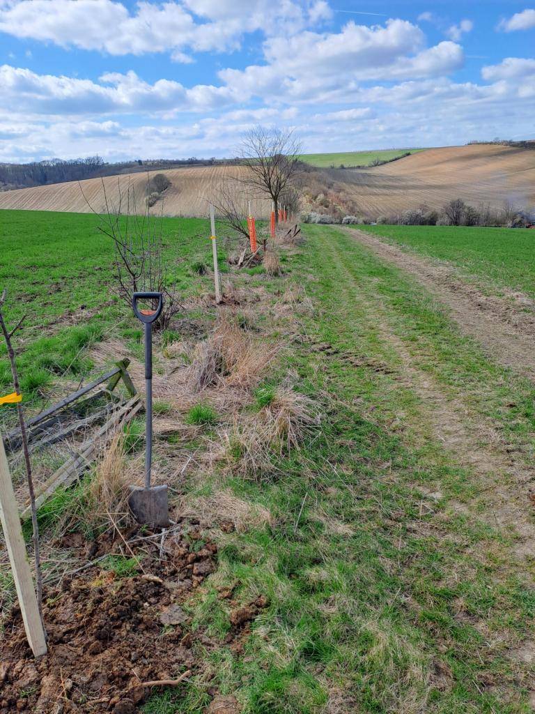 Myslivecké sdružení Vážany ve spolupráci s obcí Vážany zve občany na brigádu sázení stromků. V rámci brigády budou uklizeny uschlé stromy. Sraz účastníků brigády bude u vodárny nad Hliníkem v neděli 12.4. v 9 hod. Sebou pracovní oděv, rukavice, rýč. Po brigádě bude připraveno občerstvení.