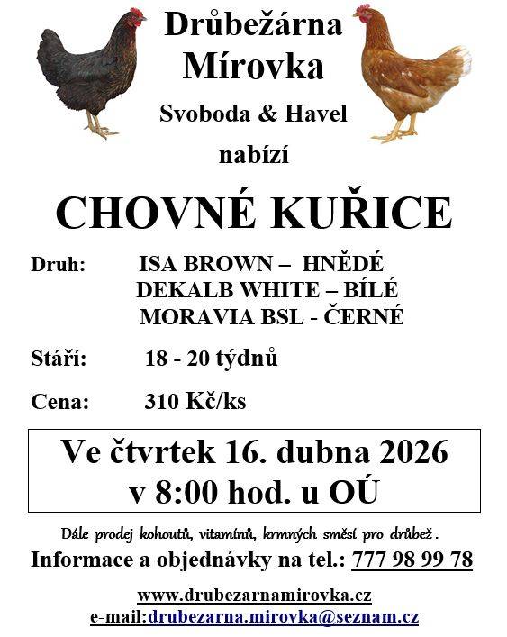 DRŮBEŽÁRNA MÍROVKA, Svoboda-Havel, prodává  ve čtvrtek 16. dubna 2026 v 8:00 hod. u OÚ  nosné kuřice  (hnědé, černé a bílé) - stáří 18 -20 týdnů, cena 310  Kč/ks.    Objednání  je možné na tel.: 777 98 99 78 nebo drubezarna.mirovka@seznam.cz.
