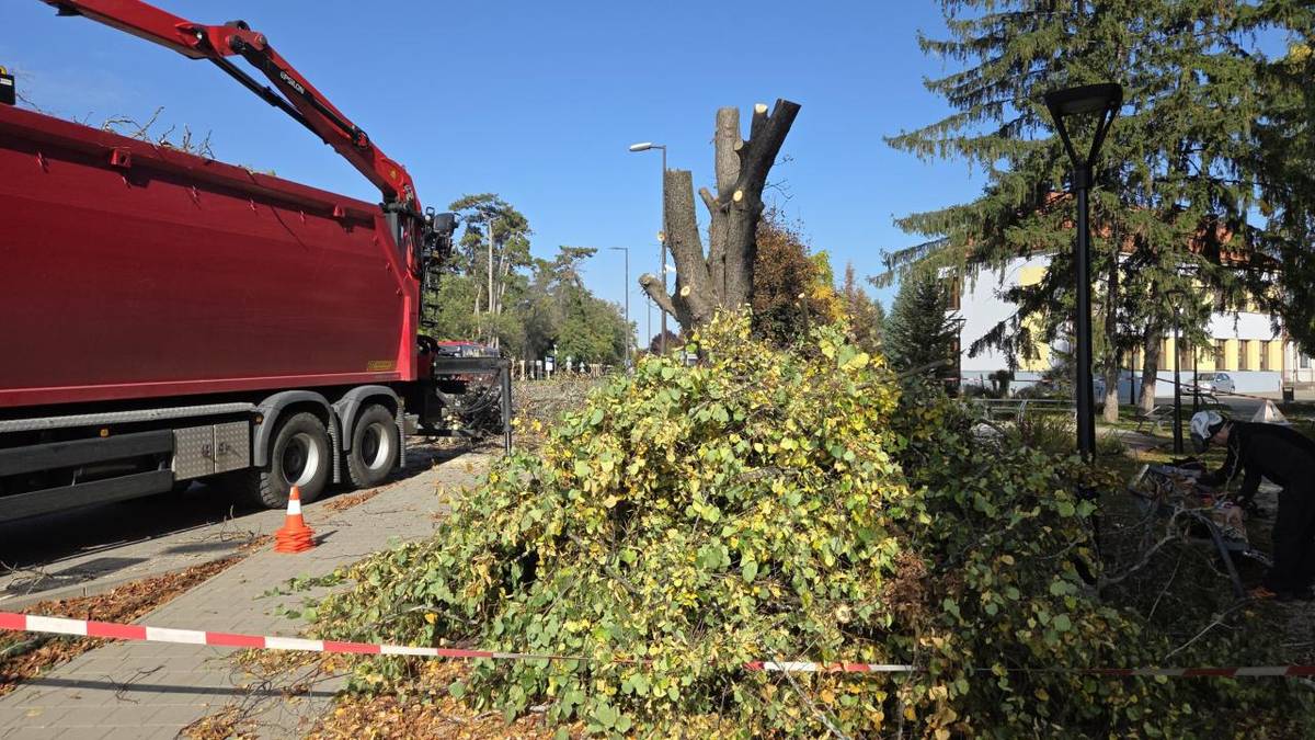 Uvedený projekt bude spolufinancovaný zo získanej dotácie z Trnavskej župy pre rok 2026 vo výške 900 eur.