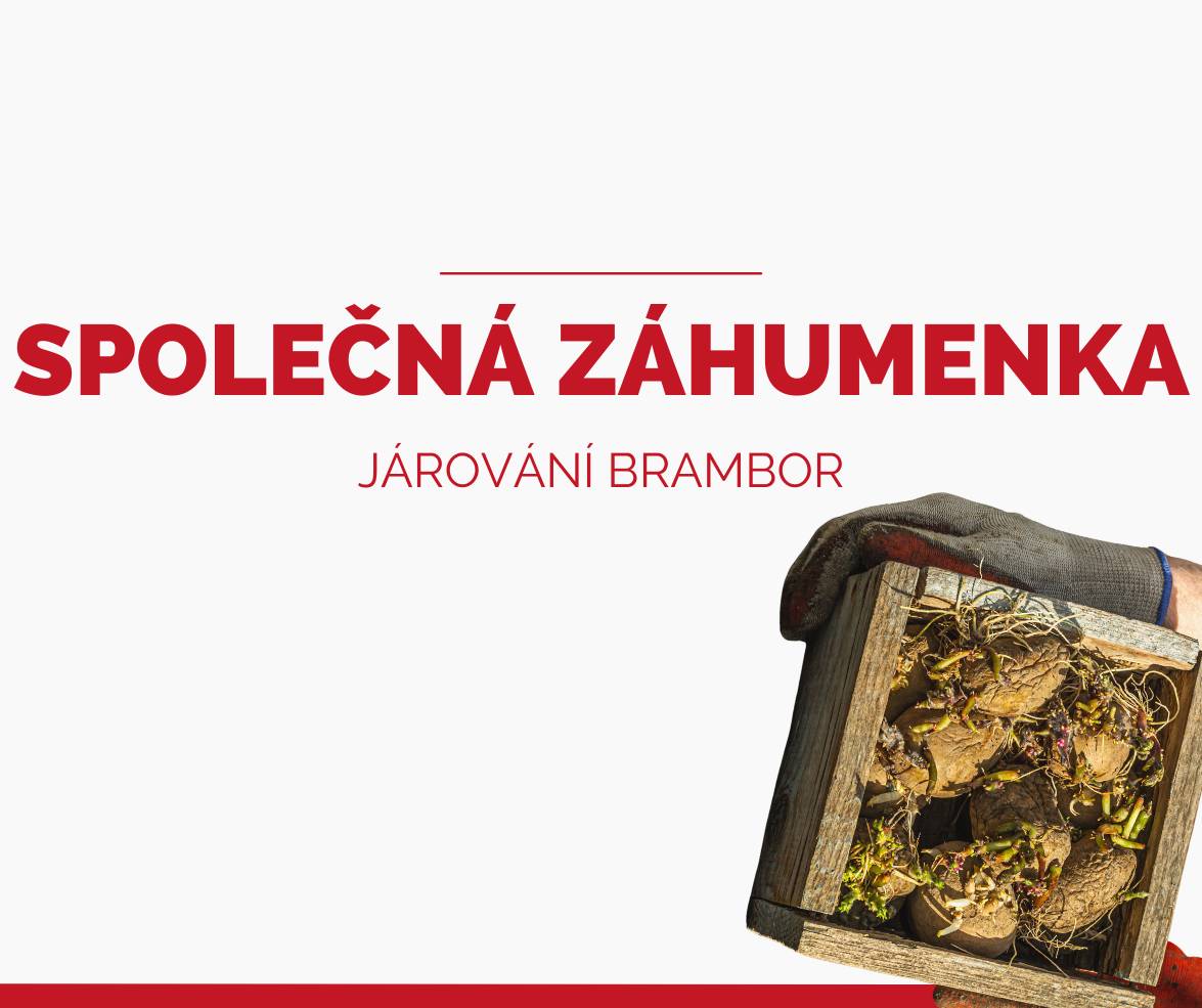 Kdy: pátek 10.4.2026  Kde: trať Lůčkový díl