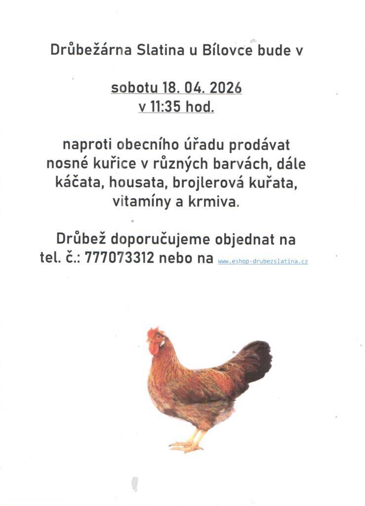 Prodej slepic v sobotu 18.04.2026 v 11:35 hod před obecním úřadem