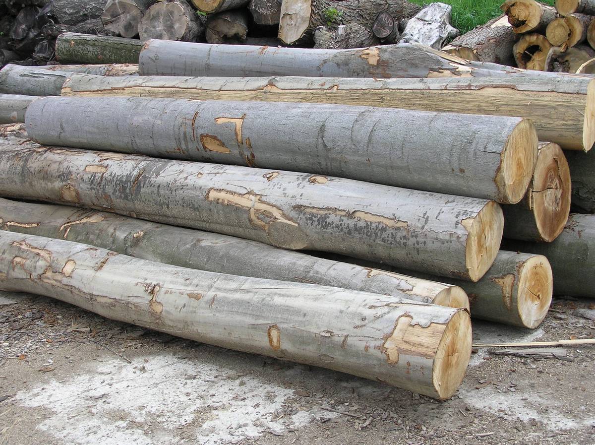 Vážení občania, Pozemkové spoločenstvo Sedliská ponúka na predaj palivové drevo  dub 10m3. Drevo je na sklade. Cena dreva bez dovozu je 400 Eur. Informácie na tel. čísle 0907 900 940