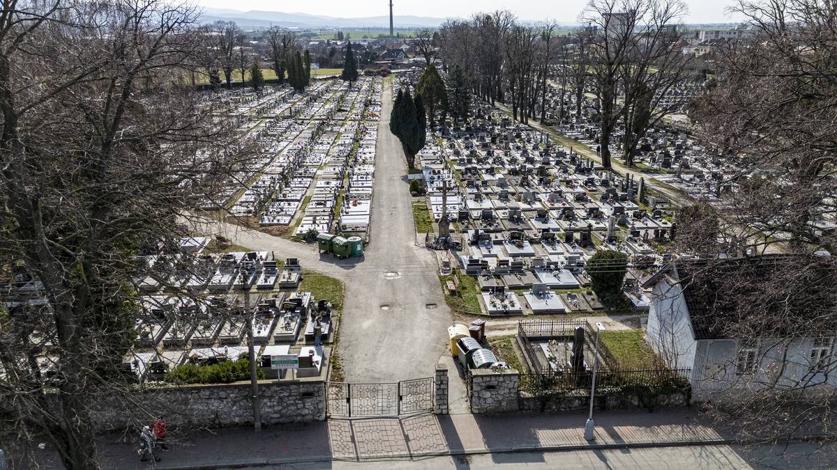 Mesto Nové Mesto nad Váhom informuje verejnosť o začatí rekonštrukcie hlavného chodníka na mestskom cintoríne 🪦, ktorej cieľom je zlepšenie technického stavu, bezpečnosti a celkového vzhľadu tohto pietneho miesta. V rámci realizácie dôjde k vybudovaniu nových chodníkov 🚶♂️ v úsekoch od centrálneho kríža ku skladu rakiev a smerom k zadnej bráne cintorína. Pribudne nový povrch zo zámkovej dlažby na ploche približne 1200 m². Tento typ povrchu bol zvolený pre svoju trvácnosť, estetiku a praktické vlastnosti, vrátane lepšieho odvádzania dažďovej vody 🌧️ a jednoduchšej údržby. Súčasťou projektu je aj modernizácia technickej infraštruktúry ⚙️. V areáli cintorína bude vybudované nové verejné osvetlenie 💡, nové podzemné rozvody vody 🚰 a osadené budú aj nové, estetické vodovodné stojany. Projekt zároveň zahŕňa prípravu dátových rozvodov 📡 pre budúce zavedenie kamerového systému. Prosíme návštevníkov cintorína o trpezlivosť, rešpekt a ohľaduplnosť počas realizácie stavebných prác 🚧. V areáli sa bude pohybovať mechanizácia a môže dôjsť k dočasnému zvýšeniu hlučnosti. Uisťujeme verejnosť, že priebeh pohrebných a rozlúčkových obradov nebude nijako obmedzený. Ďakujeme za pochopenie 🙏.  Viac informácií nájdete na webovej stránke mesta 🌐 Rekonštrukcia hlavného chodníka na cintoríne prinesie dôstojnejšie a bezpečnejšie prostredie | www.nove-mesto.sk