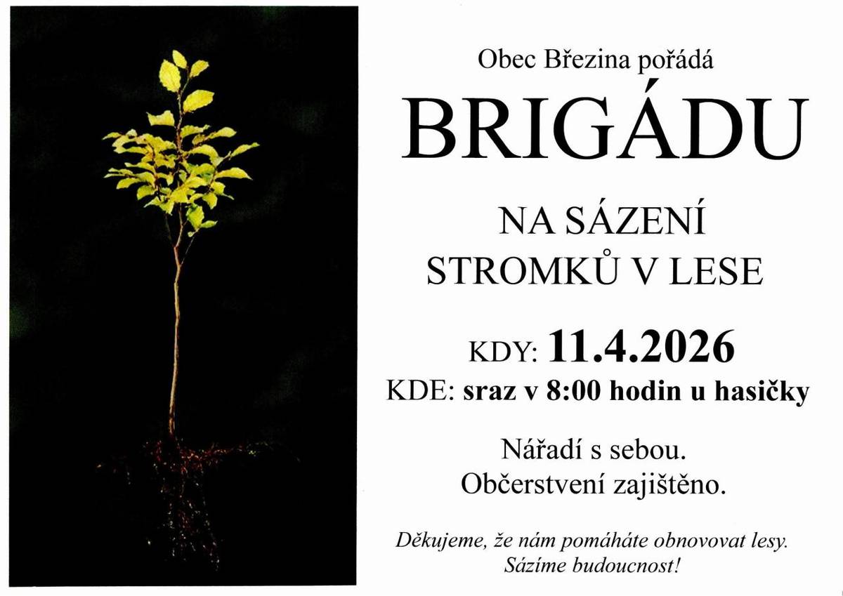 KDY: v sobotu 11.4.2026, sraz v 8:00 před hasičskou zbrojnicí  Děkujeme, že nám pomáháte obnovovat lesy.  Sázíme budoucnost!