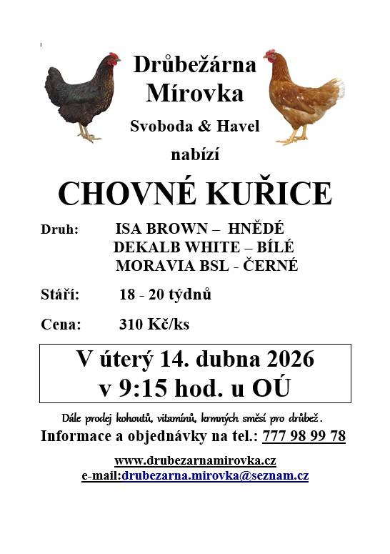 DRŮBEŽÁRNA MÍROVKA, Svoboda-Havel, prodává v úterý 14. dubna 2026 v 9:15 hod. u OÚ nosné kuřice  (hnědé, černé a bílé) - stáří 18 -20 týdnů, cena 310  Kč/ks.   Objednání  je možné na tel.: 777 98 99 78 nebo drubezarna.mirovka@seznam.cz.