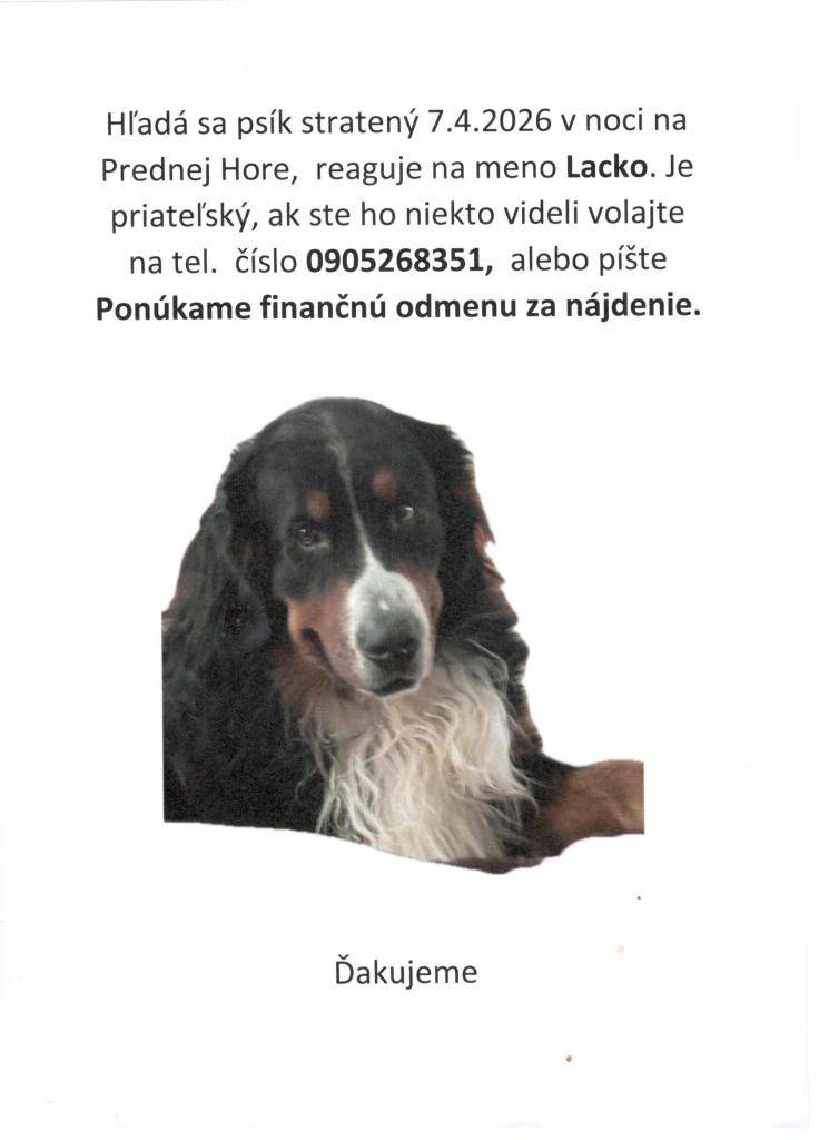 hľadá sa psík Lacko