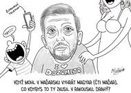 Výsledky voleb v Maďarsku inspirovaly Víta Rakušana