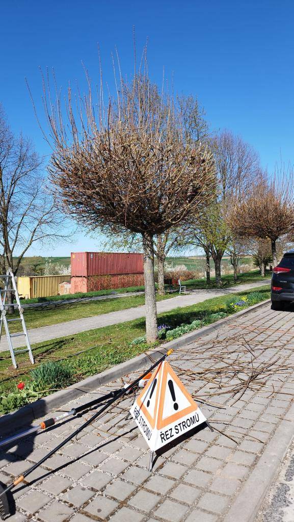 Zajistili jsme odborný řez dřevin v obecním parku. Arboristé mají hotovo a park je připravený na jarní sezónu.
