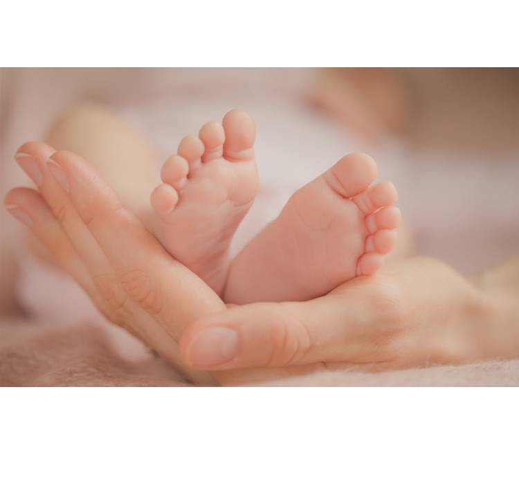 Vítání občánků proběhne 19. 4. 2026 v zasedací místnosti obecního úřadu.