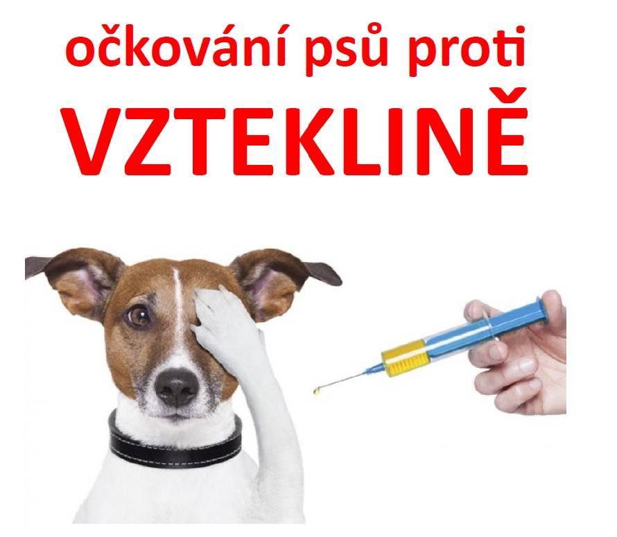 Očkování psů proti vzteklině se koná v úterý 21. dubna 2026 od 17:10 hodin u obecního úřadu. Očkování je povinné pro psy od stáří 3 měsíců. Doporučujeme také použití kombinované vakcíny, která chrání i proti dalším infekčním onemocněním, jako je psinka či infekční zánět jater. Cena očkování proti vz