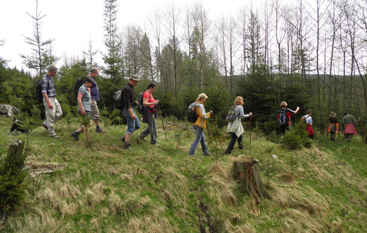 Výlet, Historický park Bärnau - Tachov, Naaber Str. 5b, 95671 Bärnau, neděle 19. 4. 2026 od 09.00. Poznejte nejen významnou historickou stezku, ale i středověkou a novodobou historii, která formovala náš regio