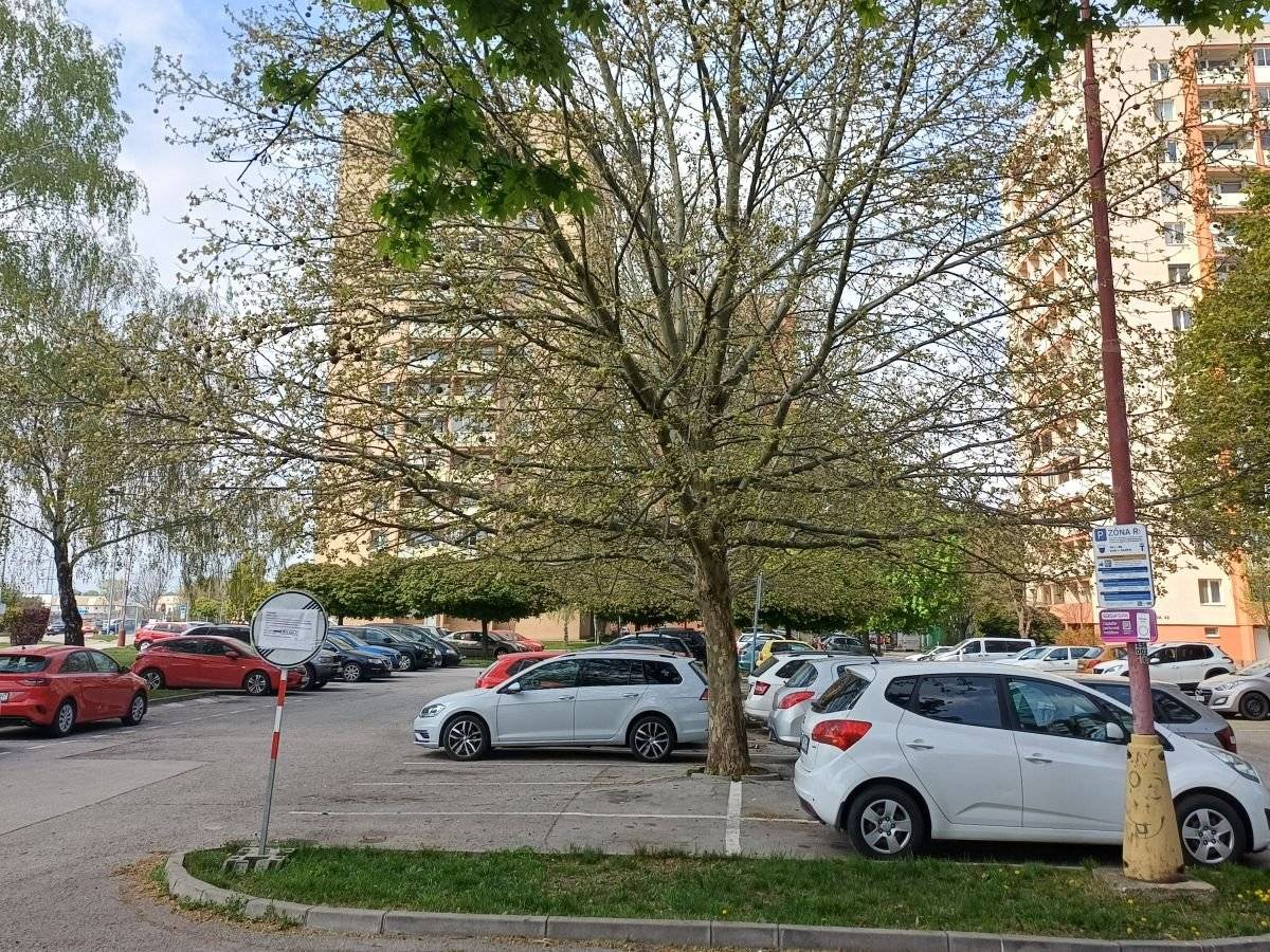 Z dôvodu pokračovania opilovania a úprav stromov na parkovisku v blízkosti bytového domu na Nerudovej 6 – 11 prosíme majiteľov vozidiel, aby v piatok 17. apríla 2026 neparkovali svoje autá pod označenými platanmi. Práce sa budú realizovať približne od 8.00 do 14.00 h (v závislosti od počasia). Obmedzenie sa týka len miest priamo pod stromami, parkovanie po obvode zostáva bez zmeny. Práce sú nevyhnutné z dôvodu bezpečnosti a ochrany majetku. Ďakujeme za pochopenie a spoluprácu.