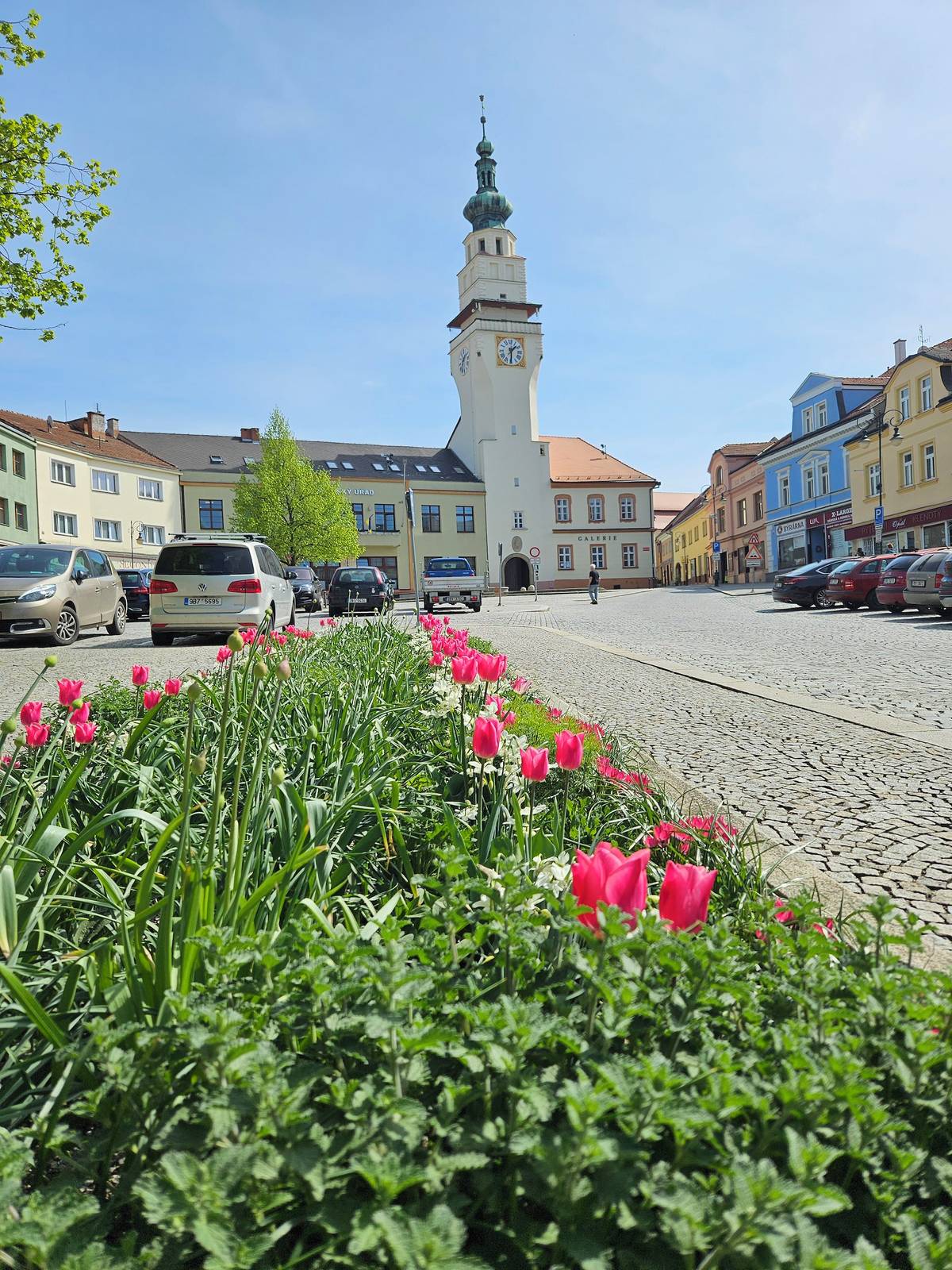 Rada města Boskovice zasedala v pondělí 13. dubna 2026 na svém pravidelném jednání, během něhož projednala celkem 45 materiálů. Radní se zabývali například průběhem zadávacího řízení komplexní obnovy zámeckého parku, opravami chodníků, žádostmi o dotace, výměnou schodišťové plošiny v kině a dalšími materiály. Přehled hlavních přijatých rozhodnutí přinášíme níže.