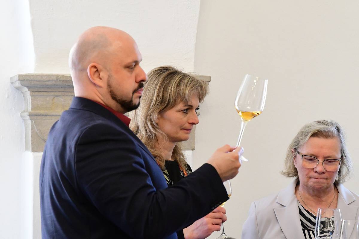 Degustací gruzínských vín z litoměřické vinotéky Noravank byly v pátek odpoledne neoficiálně zahájeny 24. Vinařské Litoměřice. Prezentace šesti vzorků proběhla na radnici v zasedací místnosti Kalich, kam vzácné hosty již potřetí pozval starosta města Radek Löwy.  Poté se všichni přesunuli do hotelu Koliba, kde se letos tradiční výstava vín nově koná. Oficiální zahájení proběhlo po 16. hodině, od 18 hodin pak došlo k předávání cen nejúspěšnějším vinařům. V pátek akce potrvá do 23 hodin, v sobotu bude pokračovat od 10 do 19 hodin. „Zájemci se na místo mohou dostat i speciálními autobusy, které v době výstavy jezdí zdarma kyvadlově z Mírového náměstí a zpět,“ sdělil jeden z pořadatelů akce Petr Vaňkát. Kromě ochutnávek vín z 21 států si mohou návštěvníci výstavy vychutnat i kulturní program, o nějž se starají Cimbálová muzika Michala Horsáka, Jiří Knotte, DixiBand, country kapela Camna nebo populární bavič a zpěvák Vladimír Hron. Vstupné je na každý den 100 korun. {gallery}02026/vinarske_gruzie{/gallery}