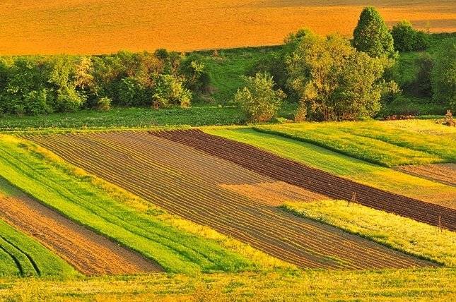 Vážení občania, Poľnohospodárske družstvo Vranov – Hencovská oznamuje záujemcom záhumienok, že dňa 14.04.2026 (to je utorok) je možné náhlásiť si záhumienku na hospodárskom dvore Hencovce. Cena za prípravu záhumienky je 20 € za 5 árov ( 8 riadkov). So sebou je potrebné doniesť aktuálnu nájomnú zmluvu.
