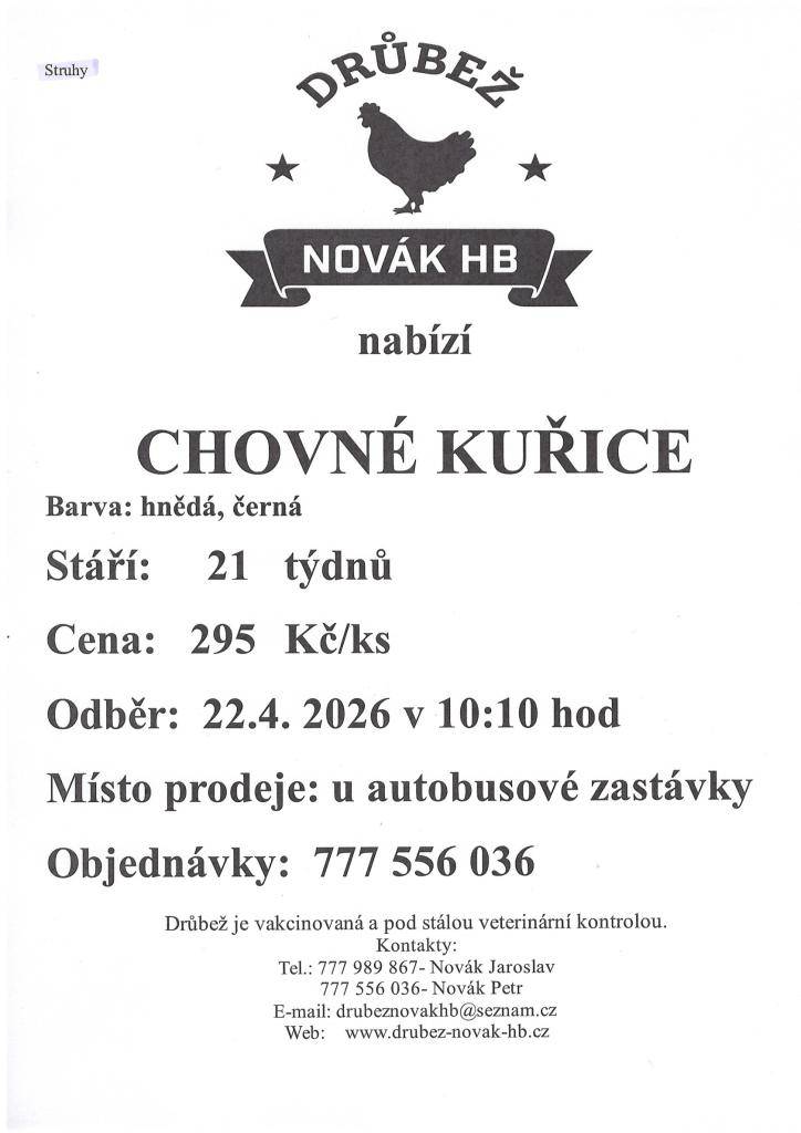 Drůbež Novák HB-drůbežárna Mírovka, prodává 22.4.  2026, čas a místo prodeje upřesněno v přiloženém letáku, nosné kuřice před snůškou stáří  21 týdnů, cena 295 Kč za kus, barva hnědá a černá.