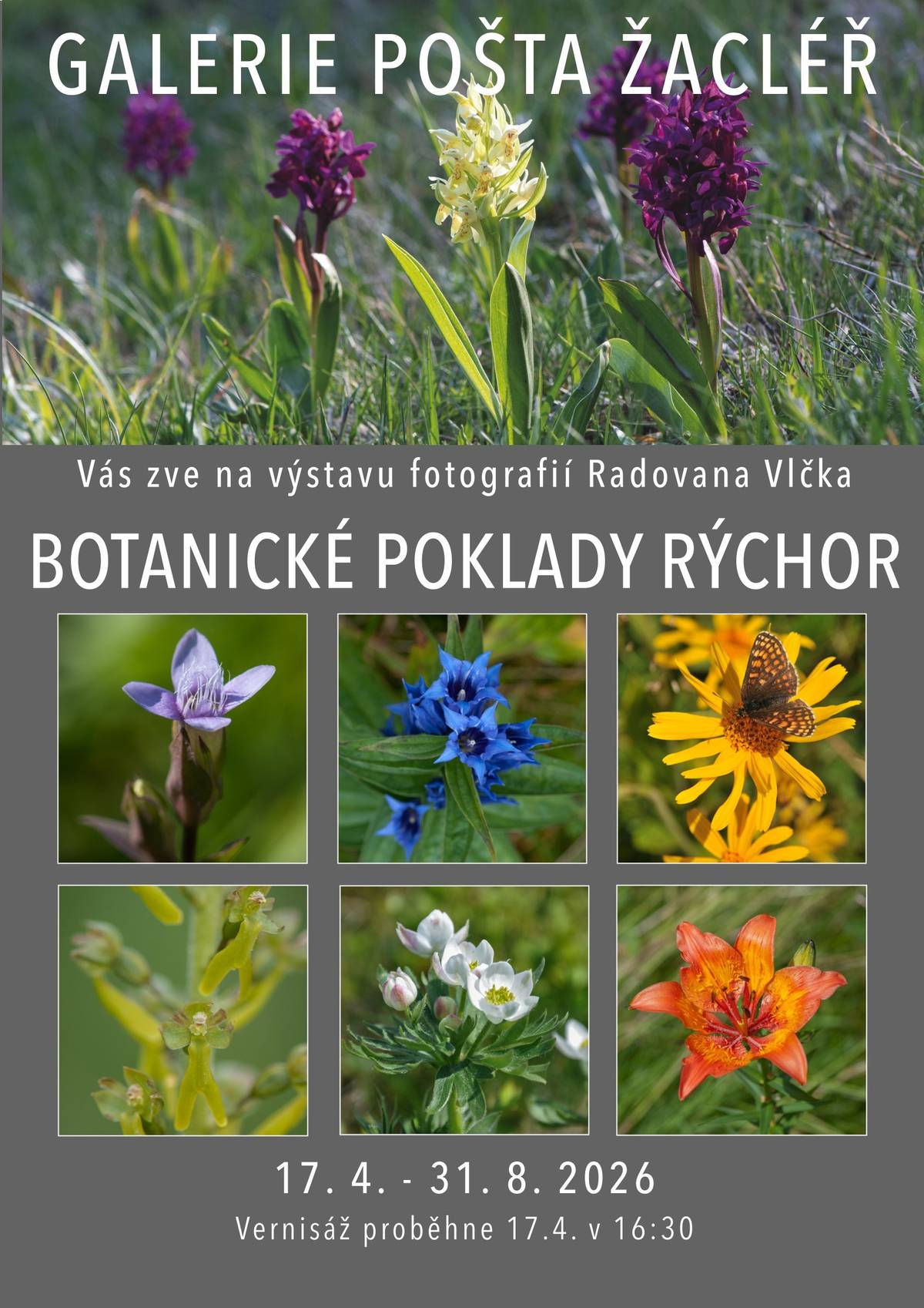 V pátek 17. dubna v 16,30 h slavnostně zahájíme výstavu v Galerii Pošta (Rýchorské náměstí 10 - pošta/muzeum), která představí bohatou a vzácnou květenu Rýchor na fotografiích Radovana Vlčka. Fotografie doplňují zajímavosti o jednotlivých druzích. Jste srdečně zváni.