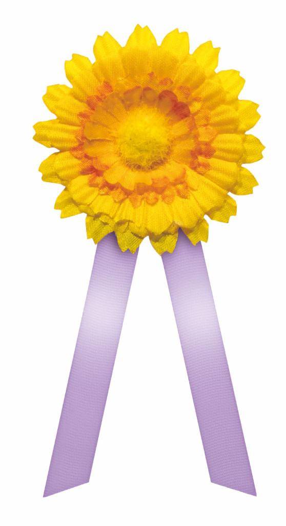 Český den proti rakovině 2026 proběhne ve středu 13. května a přispět bude možné tradičně pořízením žlutého kvítku se stužkou, letos světle fialové barvy.