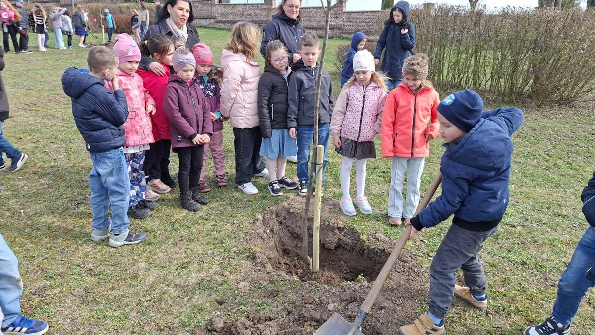Žáci naší základní školy vysadili staré odrůdy ovocných stromů na stráni pod hřbitovem.