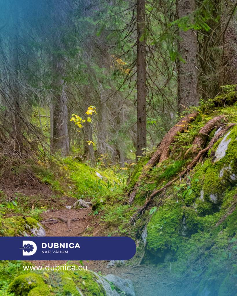 V sobotu 25.apríla vás pozývame na 53. ročník Dubnickej 30-ky, ktorý prinesie najmä radosť z pohybu, jar v najväčšom rozpuku a prírodné zákutia blízkych, no predsa málo prechodených hôr.