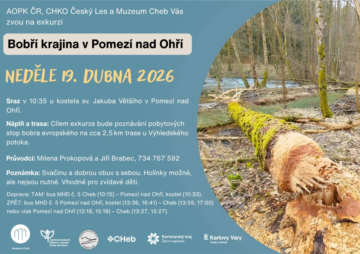 AOPK ČR, CHKO Český les a Muzeum Cheb zvou  19. 4. 2026 na exkurzi "Bobří krajina" v Pomezí nad Ohří