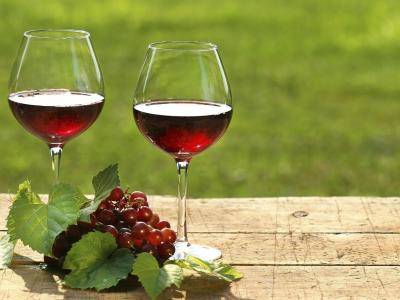 Vinařský spolek Želešice zve na zájezd na jarní vinařskou akci v oblasti Wachau dne 2.5.2026.