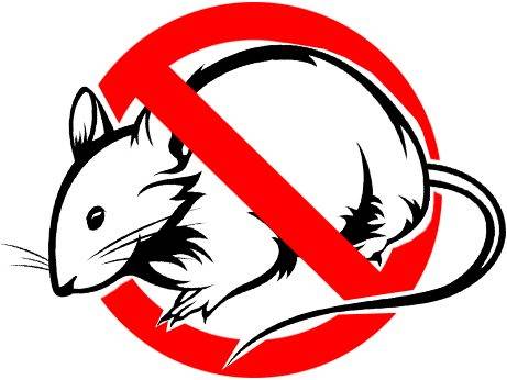 Výzva Regionálneho úradu verejného zdravotníctva so sídlom v Trnave k jarnej preventívnej celoplošnej deratizácii.