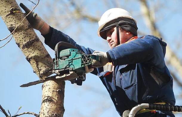 Informujeme Vás, že od soboty 18. dubna 2026 začne odborná arboristická firma provádět bezpečnostní řezy stromů, výchovné řezy a tvarování korun.