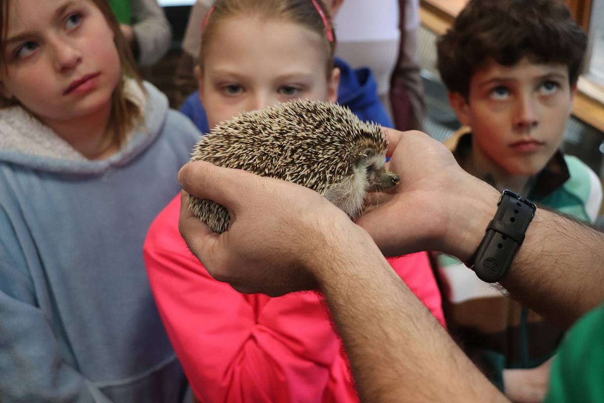 Také letos připravil DDM Orlová vzdělávací a zážitkový program ke Dni Země pro děti z mateřských a základních škol. Hlavním tématem jsou tentokrát mokřady a jejich zvířecí obyvatelé.  Mezi prvními zavítali na oddělení přírodovědy Ježečci ze školky Lesní a třeťáci ze školy Mládí. Děti si své znalosti ověřily na několika stanoviš...