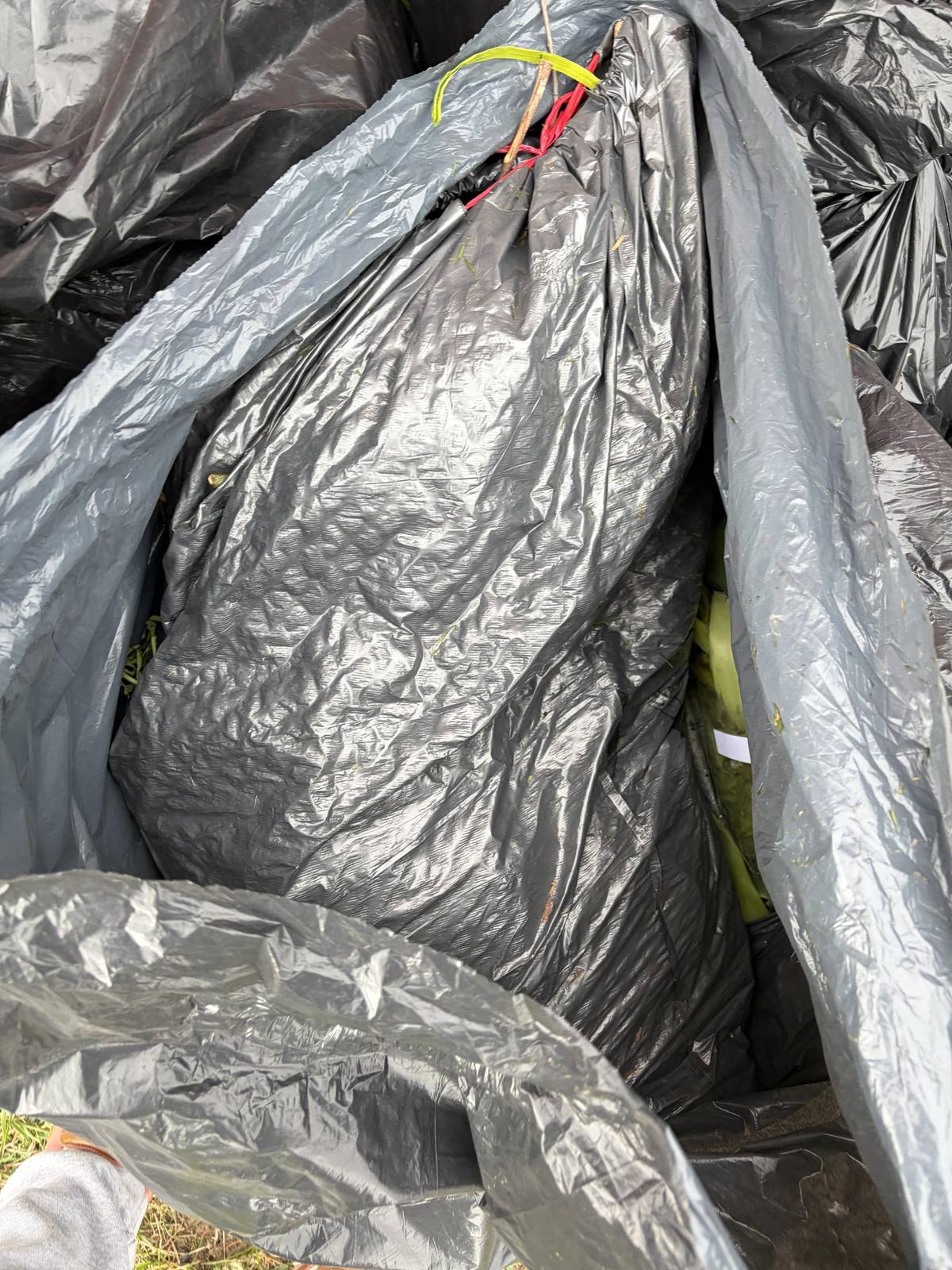 Dnešní nadílka před kontejnerem v Severní ulici. Žádáme majitele černých pytlů, jejichž obsah nemá s bioodpadem nic společného, aby je odstranil.