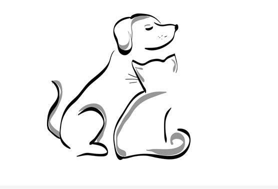 proběhne před Městský úřadem v Lomu dne 4. 5. 2026 (pondělí) 17:00 – 17:30 hod na točně naproti prodejně zahradní techniky v horním Lomu dne 6. 5. 2026 (středa) v 17:00 – 17:30 hod     očkování bude provádět MVDr. Pavel Gabriel Ceník očkování:  250,- Kč očkování proti vzteklině 450,- Kč  kombinace včetně vztekliny  400,- Kč čipování psa   V případě očkování kombinace u koček je třeba se dopředu objednat na tel. 602 428 237! Nezapomeňte si donést očkovací průkaz. Žádáme majitele, aby své psy vybavili náhubky, po dobu očkování měli psa na vodítku a případné exkrementy uklidili!