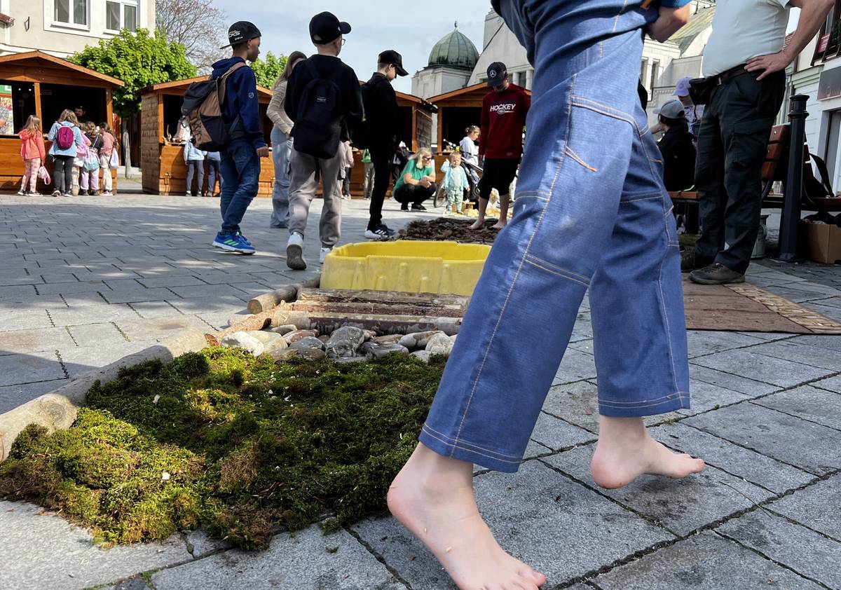 Pocitový chodník, skladačky z dreva, ochrana pôdy, vody a živočíchov, značky v lese, filtrácia ovzdušia, výroba odznakov, poľovné psy či hodnoty z lesa - o tom všetkom bude najbližšiu stredu 22. apríla 2026 Lesnícky deň v Trenčíne. Uskutoční sa na Štúrovom námestí od 9.00 do 13.00 hodiny. „Les je pre nás veľký dar, vyslovme mu [...]Čítať viac...