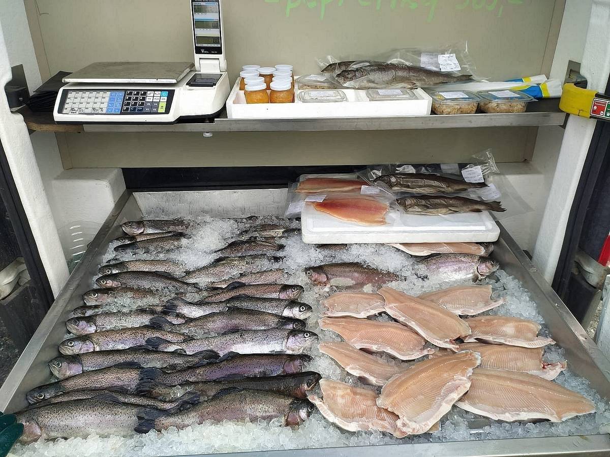 Tento čtvrtek 23. dubna v 16.20 hodin Vám  Pstruhařství Dolní Babákov  přiveze čerstvé chlazené pstruhy.  V nabídce budou pstruzi kuchaní, uzení, filety, saláty a další rybí výrobky. Prodej bude probíhat na návsi v Dolním Městě.