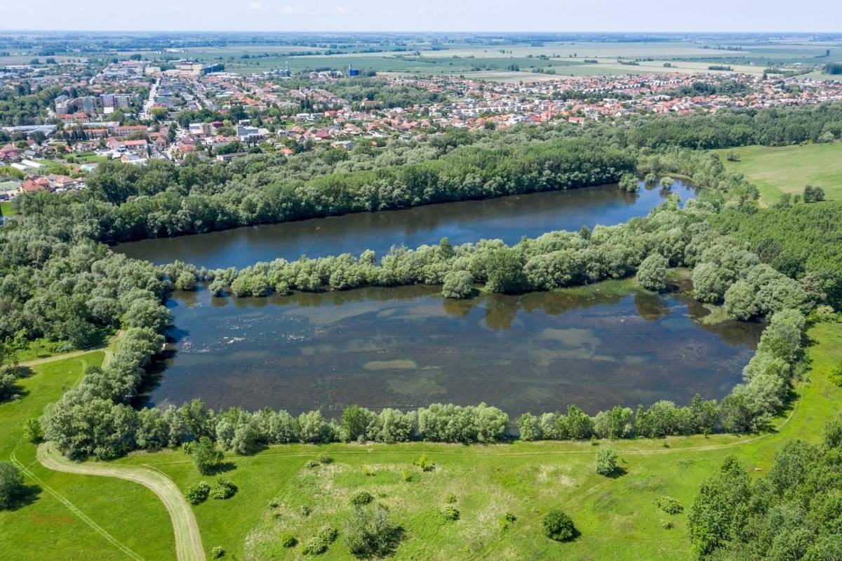 Naše mesto je plné krásnych zelených miest, ktoré sú nielen nádherné, ale aj hodnotné. Aj pri tejto príležitosti si pripomeňme: každý strom, každá čistá zelená plocha sa počíta. Máme len jednu planétu.