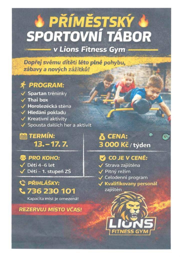 Příměstský sportovní tábor proběhne v Lions Fitness Gym od 13.-17.7.2026.