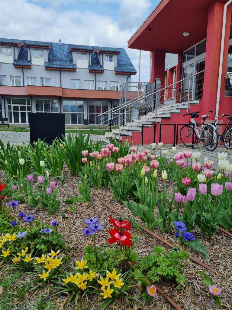 Jar sa prebudila vo plnom kvete a výsadba stromov, kríkov i kvetov na rôznych lokalitách v obci teší oči i dušu. Na dnešný Deň Zeme sa potešte pohľadom na rozkvitnutú Belušu.