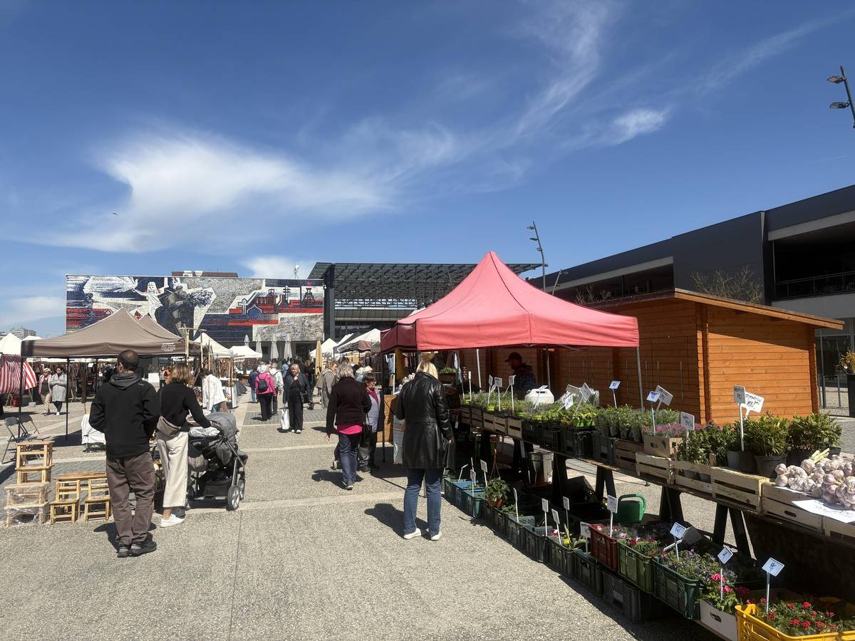 Slezský rynek dnes do 17. hodiny nabízí ve 22 stáncích produkty převážně regionálních výrobců. Ke stálicím, které na trzích najdete pravidelně, přibyli i noví, třeba farmář Bezdínek se zeleninou nebo výrobce hraček zhotovených z upravené kukuřice. „Klasikou jsou tady oříšky, každý den se praží čerstvé, vedle máme babiččiny sváteční trubičky z listového máslového těsta plněné pouze sněhem, které se pečou ve Zlíně podle osvědčeného receptu už přes 60 let. Dále tu máme sušené kandované ovoce, frgály, preclíky nebo kváskový chléb, ručně vyráběné výrobky chráněné dílny nebo dřevěné hračky,“ vyjmenovává organizátor trhů Bronislav Malysz. V sortimentu najdete také stánek s produkty z šafránu, ručně vyráběná mýdla, včelí produkty i s ochutnávkou medů, holandské sýry, ovocná vína s rakytníkem nebo arónií, stánek s masnými produkty, kde mají i klobásy z kozího masa. Výběr je bohatý, využijte slunného počasí a projděte se na Náměstí Ostrava-Jih.