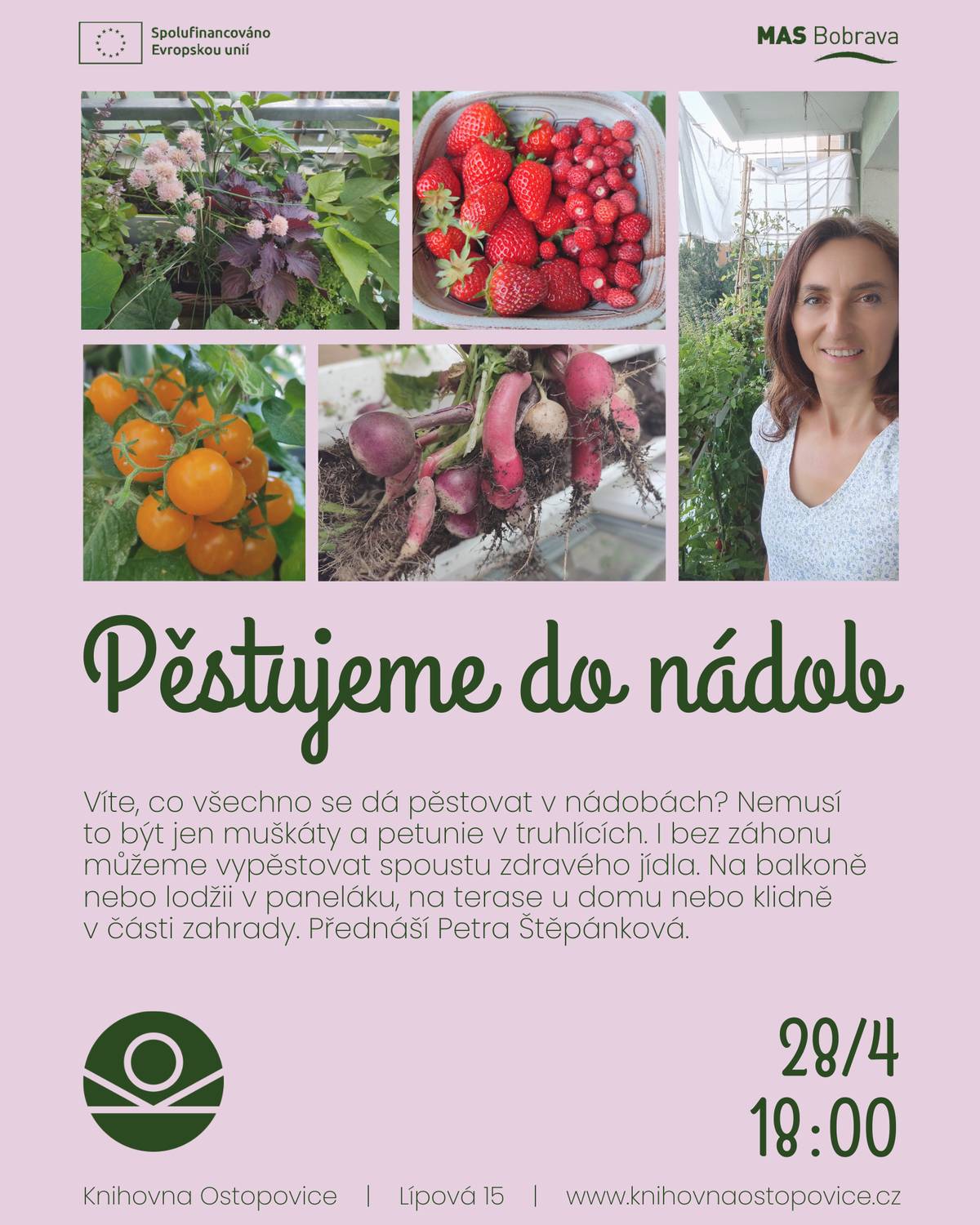 Víte, co všechno se dá pěstovat v nádobách? Nemusí to být jen muškáty a petunie v truhlících. I bez záhonu můžeme vypěstovat spoustu zdravého jídla. Na balkoně nebo lodžii v paneláku, na terase u domu nebo klidně v části zahrady. Jaká jsou specifika pěstování v nádobách, na co si dát pozor a jak na to správně? Jaké nádoby si pořídit a co lze využít z věcí, co už máme doma? Přednáší Petra Štěpánková. Knihovna Ostopovice / úterý 28.4. 18:00 / vstupné dobrovolné / rezervace místa zde: https://1url.cz/Hew9U