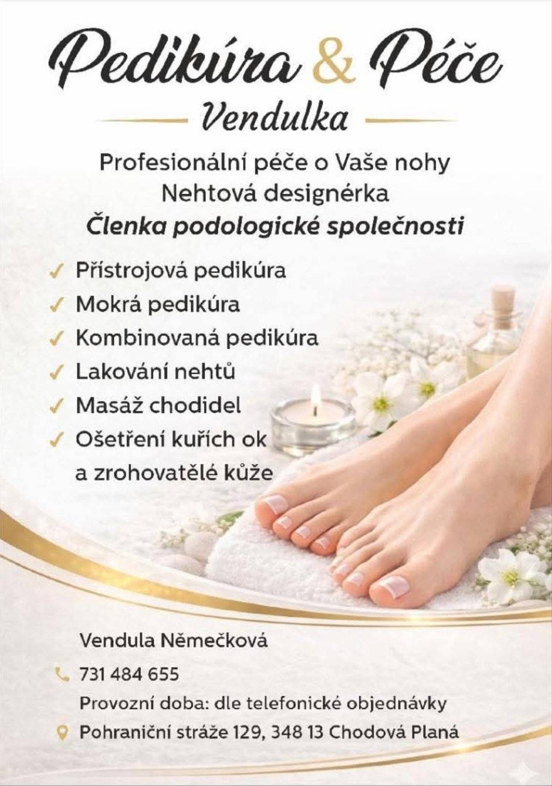 Profesionální pedikúra