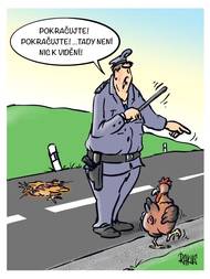 Policie dohlíží na vše