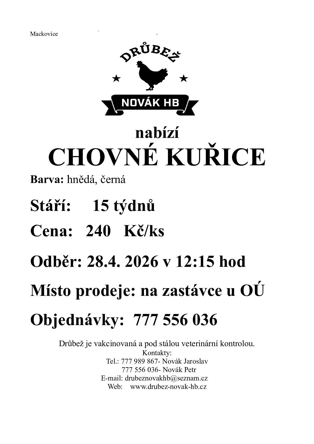 Prodej chovných kuřic 28.4.2026 ve 12:15 u OÚ Mackovice. Cena 240 Kč/ks, stáří 15 týdnů. Tel. 777 556 036.