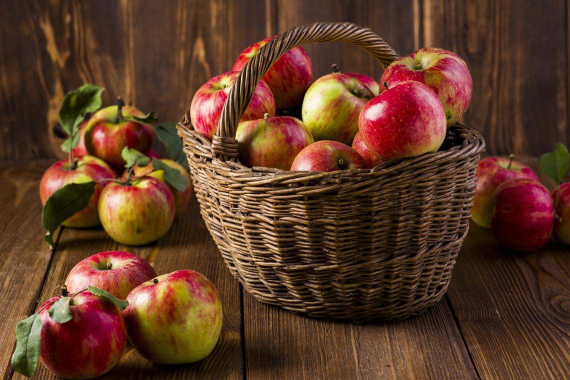 Zelenina Juvita Uherský Brod bude ve čtvrtek 23.4. od 9:20 do 9:40 h, prodávat certifikované sadbové brambory z Vysočiny, cibuli, česnek, jablka, hrušky, konzumní brambory a další ovoce a zeleninu. Dále nabízí žampiony, hlívu ústřičnou, maďarskou čalamádu, olejové svíčky a med.