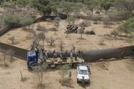 Když padají obři (When Giants Fall) – Profesionální lovci střílejí slony, kteří byli určeni k odstřelu v rezervaci Sango Wildlife Conservancy v Zimbabwe