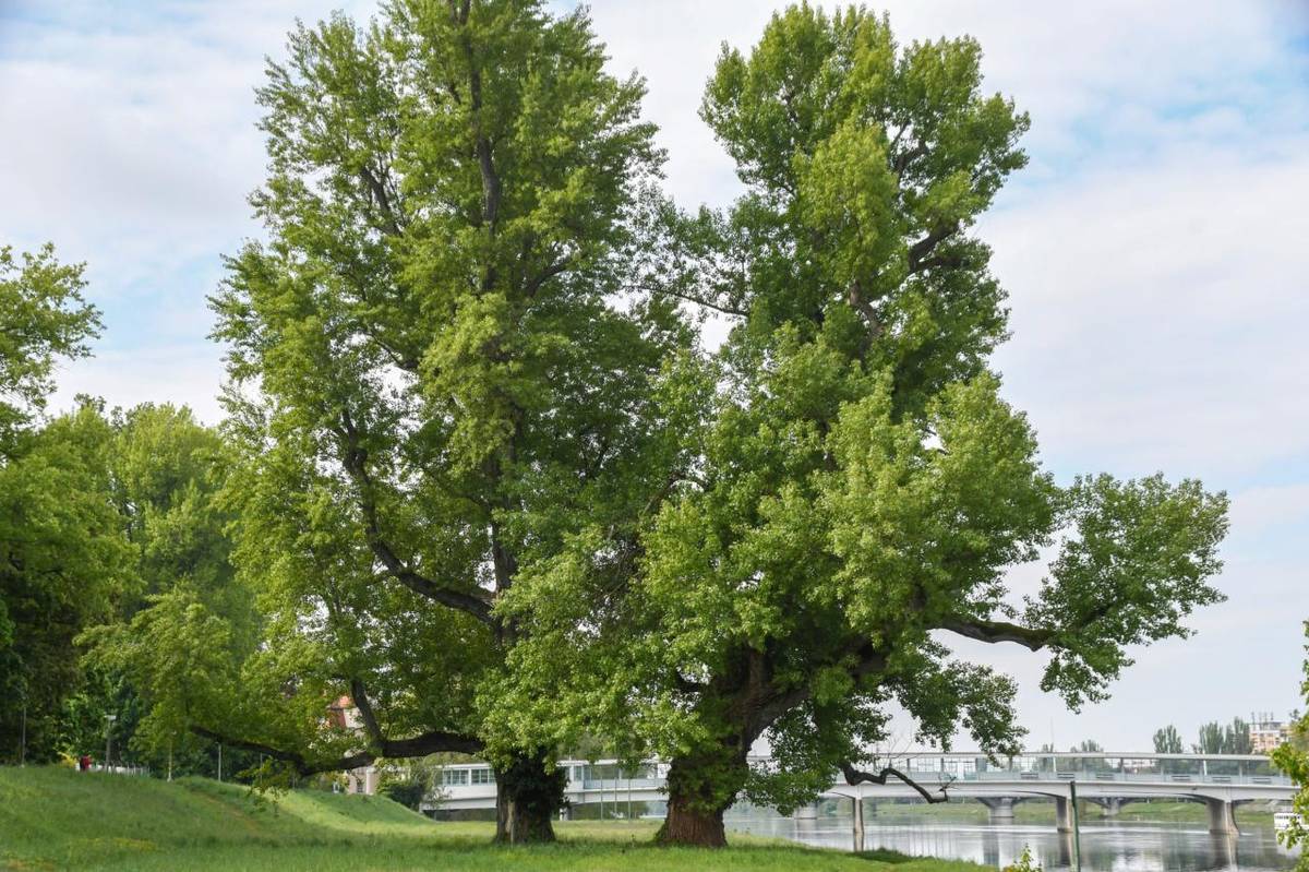 Dnes 22. apríla 2026 si pripomíname už 55. výročie Dňa Zeme, ktorý dnes spája 192 krajín a viac ako jednu miliardu ľudí po celom svete.
