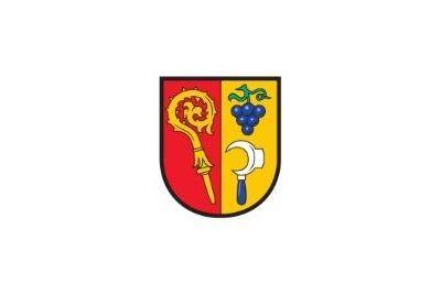 Dnes 24. dubna 2026 si naše město připomíná 81. výročí osvobození Šlapanic za II. světové války. Při této příležitosti uctilo vedení města památku osvoboditelů a také obětí osvobozovacích bojů a koncentračních táborů z řad občanů. Květiny k pomníkům položil místostarosta Radek Růžička.
