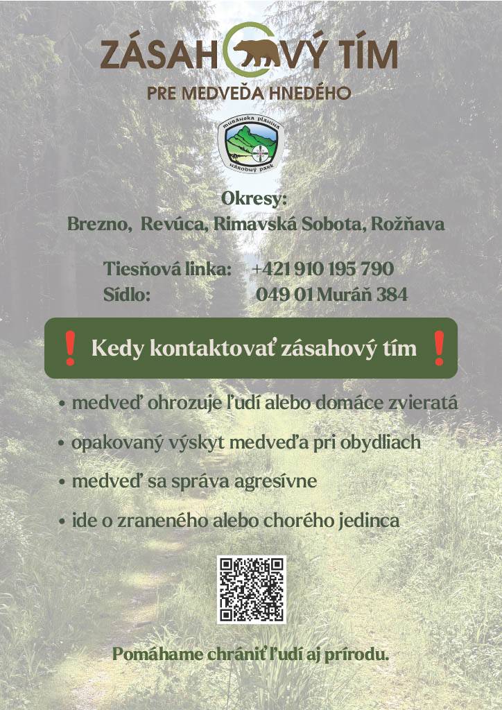 V jarnom období dochádza k častejšiemu výskytu medveďa hnedého, najmä v súvislosti s vodením mláďat. Samice sú v tomto období obzvlášť citlivé na vyrušenie a pri strete môžu vyhodnotiť prítomnosť človeka ako ohrozenie pre svoje mláďatá, čím sa výrazne zvyšuje riziko útoku.