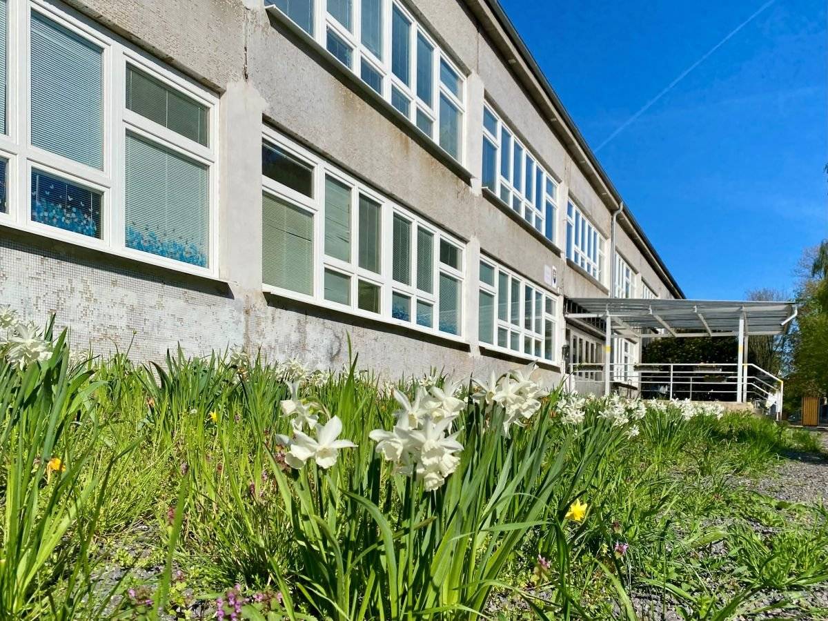 V Trnave pokračujeme v tom, čo má skutočný zmysel – investujeme do vzdelávania a prostredia, v ktorom vyrastajú naše deti.    Pripravované projekty na mestských základných školách prinesú modernejšie učebne, nové technológie aj lepšie podmienky pre šport a každodenný život v škole. Žiaci sa tak budú môcť učiť v prostredí, ktoré podporuje kreativitu, spoluprácu aj rozvoj digitálnych zručností.     Nejde pritom len o „krajšie triedy“. Cieľom je meniť školy tak, aby lepšie reagovali na dnešné potreby výučby – od práce v tímoch až po individuálne učenie.     Investície do škôl sú investíciou do budúcnosti mesta.   Viac sa dozviete v tomto článku.
